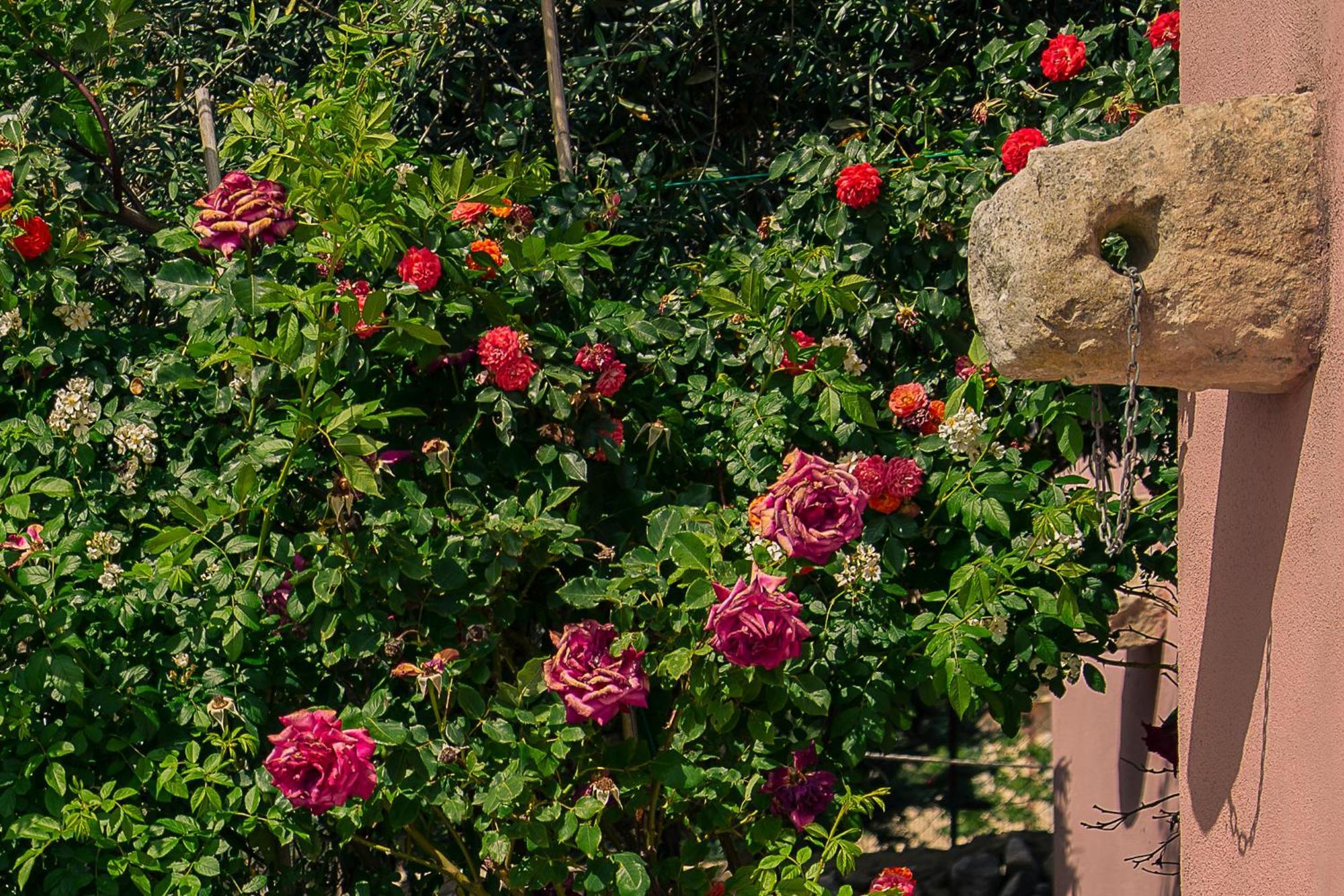 Villa Virginia Ragusa Bagian luar foto